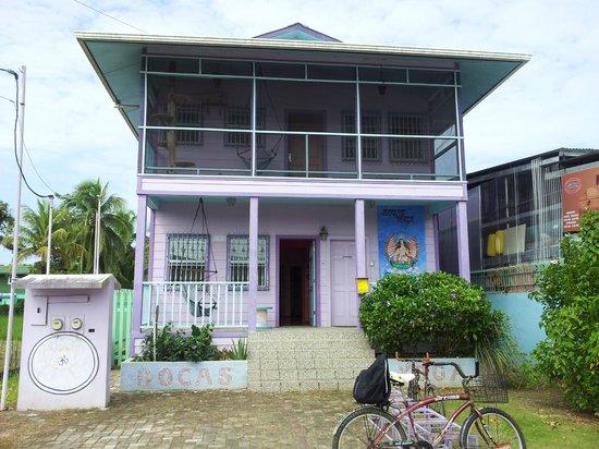 Bocas Yoga