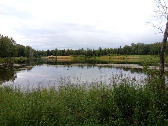 Campbell Creek Greenbelt