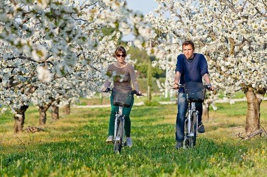 Sun-E-Bike