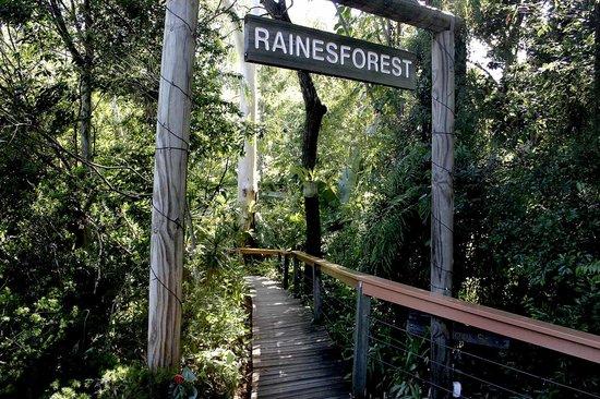 Rainesforest Massage and Day Spa