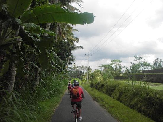 Bali Bike Baik Cycling Tours