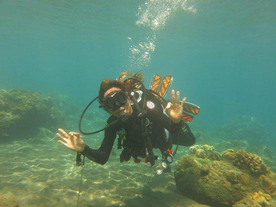 Dream Divers Bali