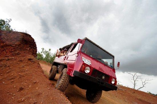 North Shore EcoTours