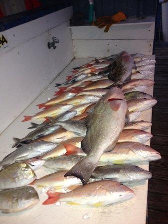 Say What Fishing Charters