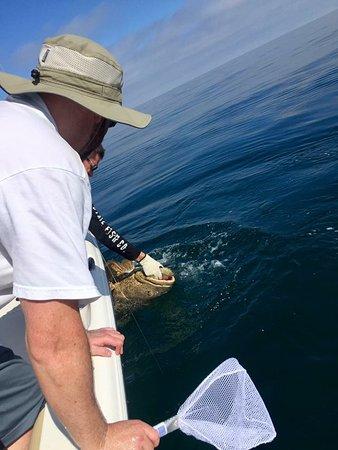 Shore Catch Charters