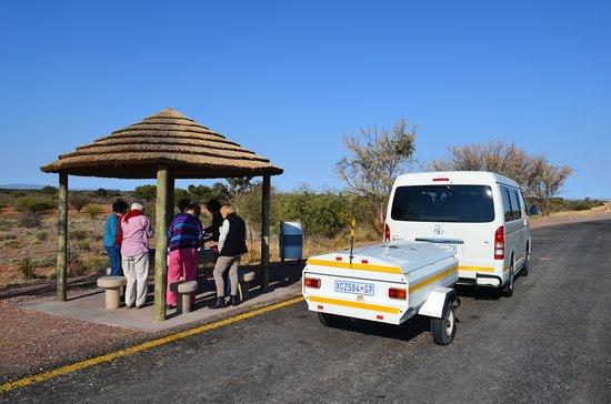Catz Tours & Safaris