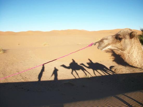Sahara Exploring Expedition Day Tours