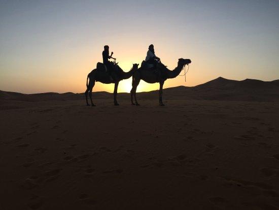 Camel Safaries