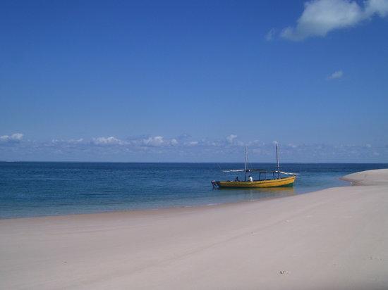 Sailaway Dhow Safaris