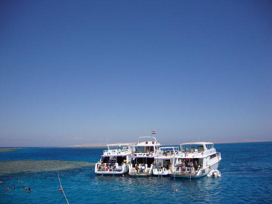 TGI Diving El Gouna