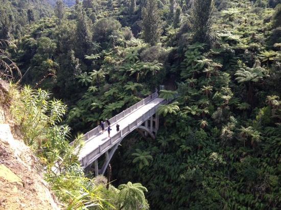 Unique Whanganui River Experience