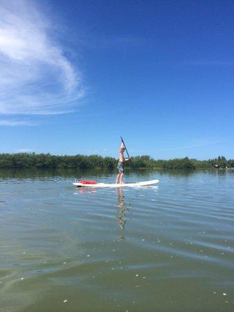 Tigertail Beach Kayak and Paddleboard Rentals
