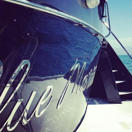 Great Barrier Reef Charters