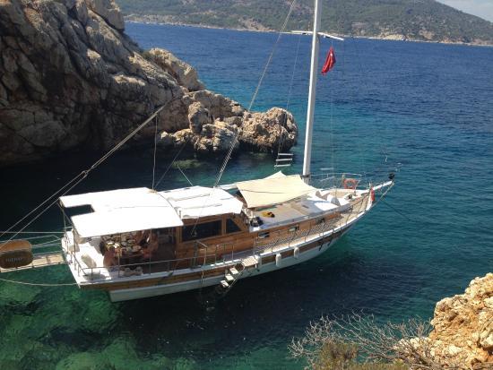 Therapy Boat - Daily Boat Trip