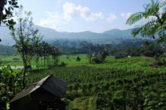 Sidemen Tour and Trekking