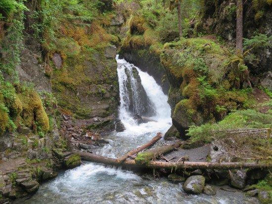 Virgin Creek Falls Trail