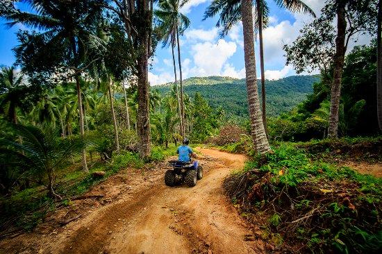 Samui Quad Motor