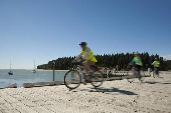 Wheelie Fantastic Cycle Hire & Tours