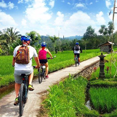 eBikes Bali Electric Bicycle Tours