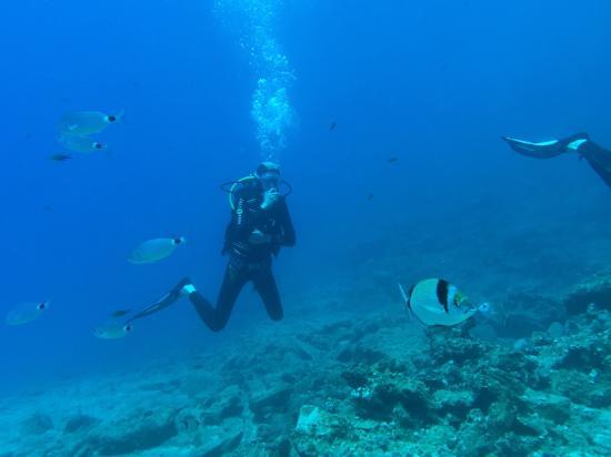Diving Centre Blue Dolphin