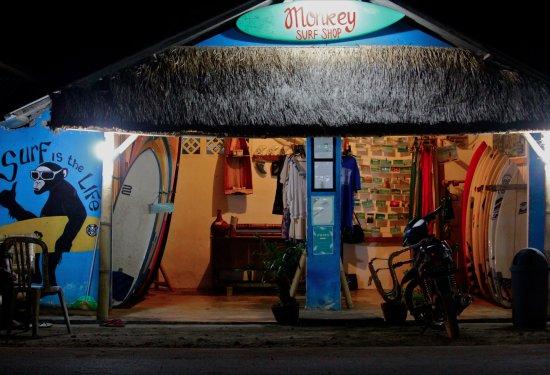Monkey Surf Shop & School