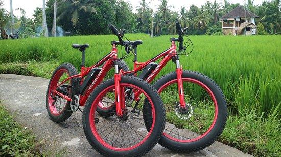 Bali E-Bike Tours