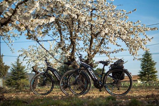 Rent Bike Luberon