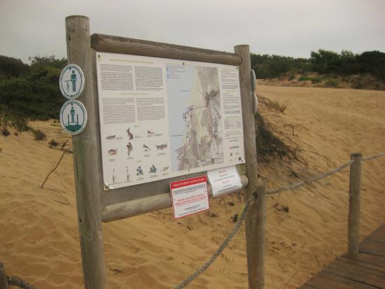 Duna Da Cresmina