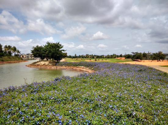 Prestige Golfshire Club