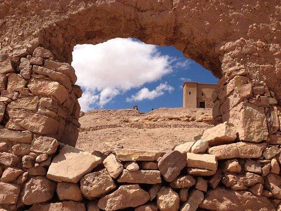 Morocco Scorpion Tours