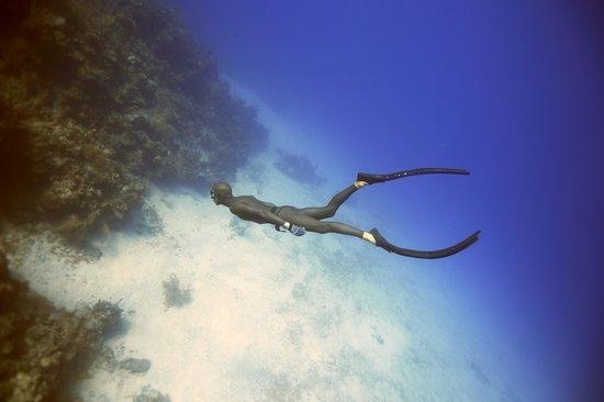 Apnea Total Gili