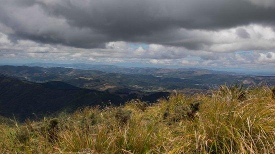 Mount Climie Track