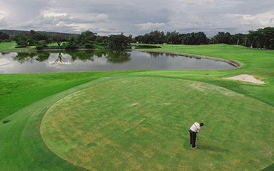 Mimosa Golf Course