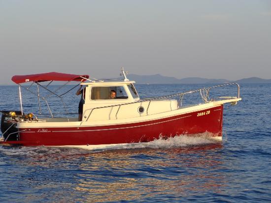 Zadar Tours & Excursions