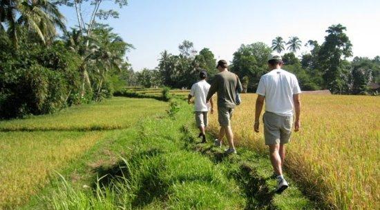Bali Nature Trek