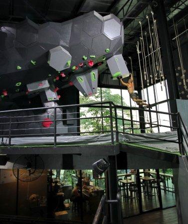 REBEL Rock Climbing
