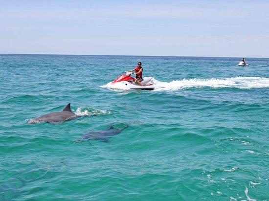 Bradenton Water Toys