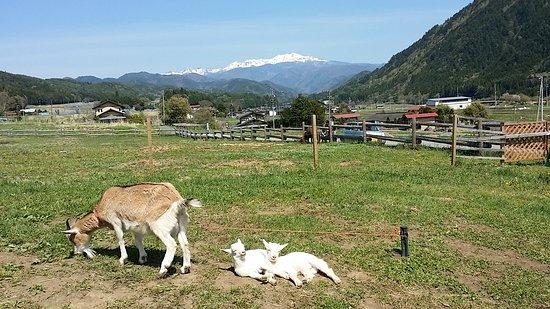 Rinrin Farm