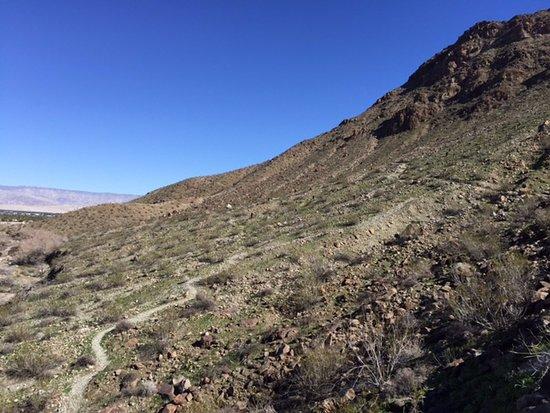 Earl Henderson Trail