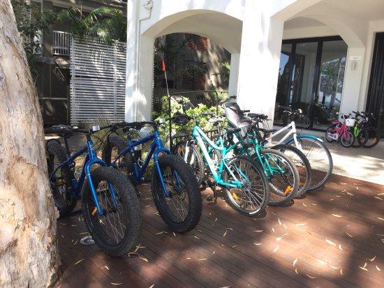 Biked & Beach - Palm Cove