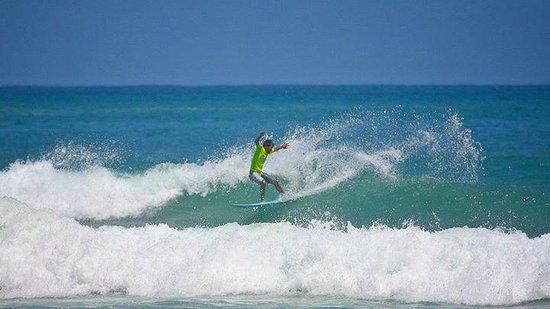 Bali Wave Surf Tours