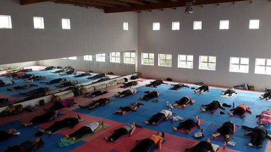 Chaitanya School of Yoga