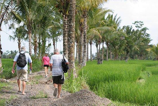 Ubud Bali Trekking
