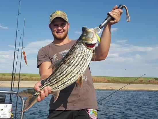 Tiger Fishing Tours