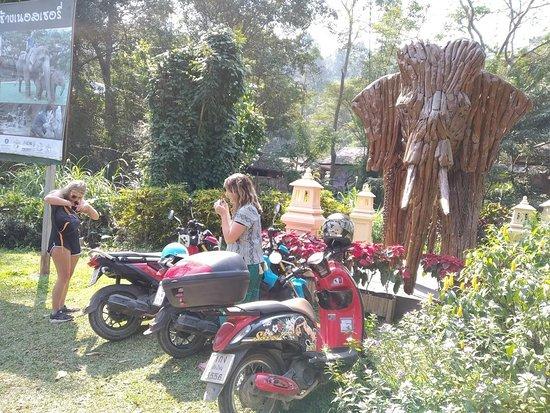 Chiang Mai Scooter Tours