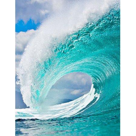 Surf Home