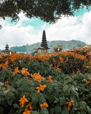 Gauriya Bali Tours