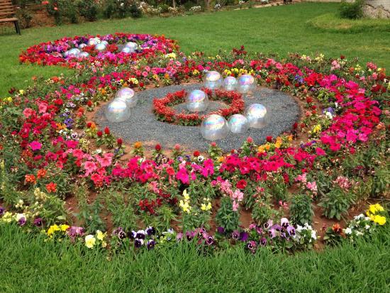 Jardin Anima