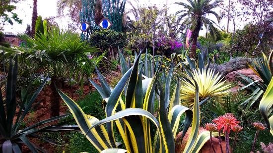 Anima Garden