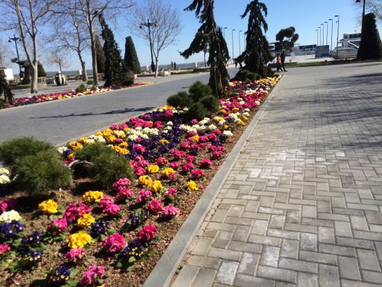 Shikhovo Beach